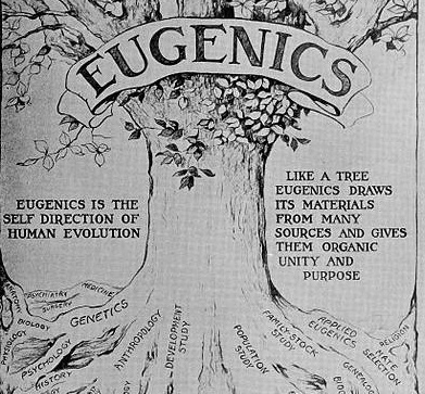 eugenics tree graphic
